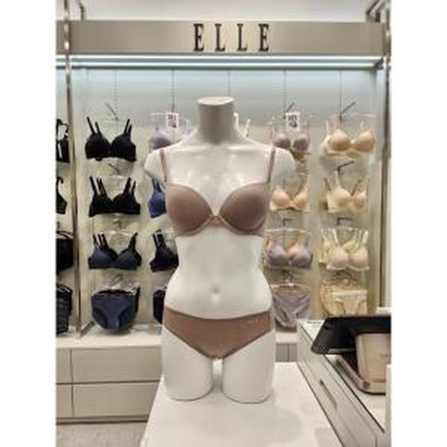 엘르이너웨어 이미지