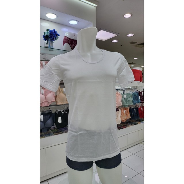 비너스슈 이미지
