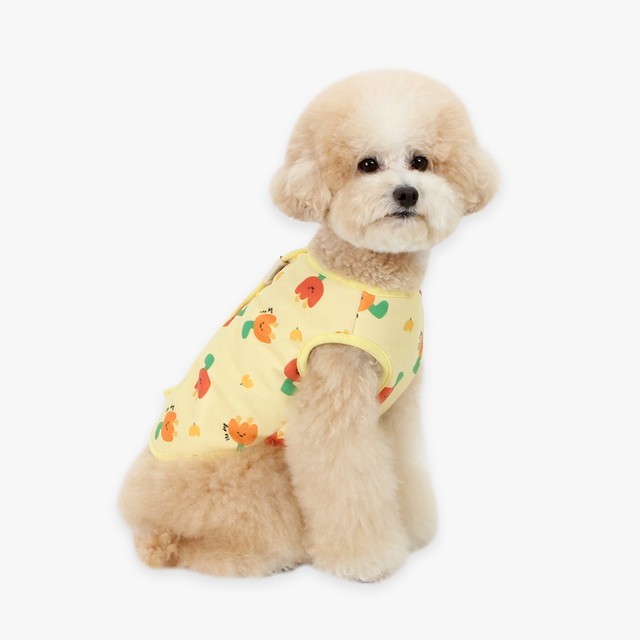 옐로우 이미지