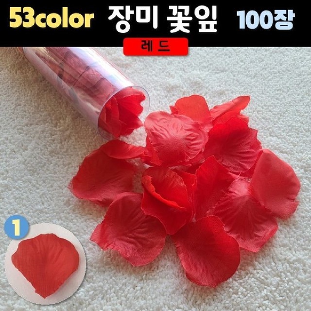 꽃잎플라워 이미지