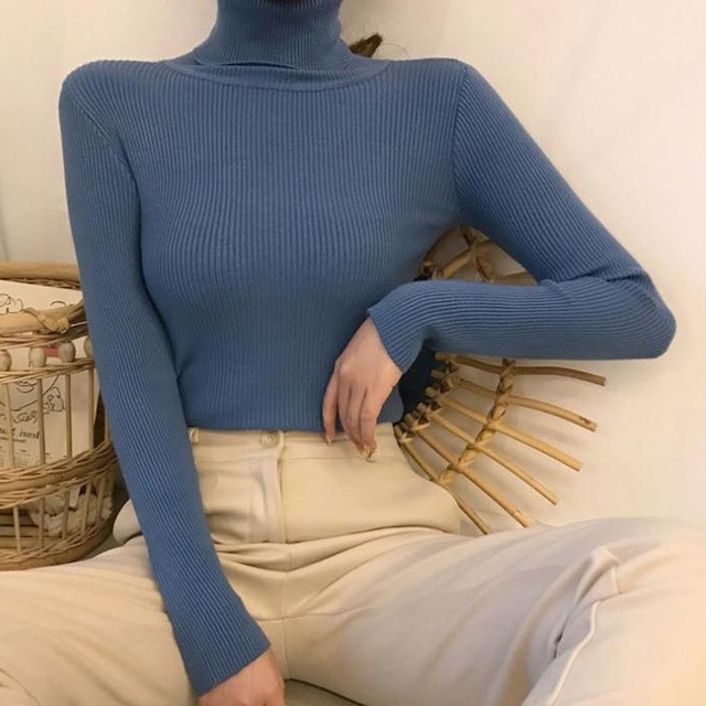 폴라 이미지