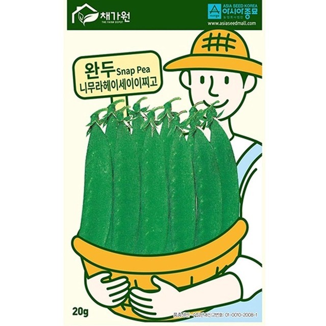 이찌고 이미지
