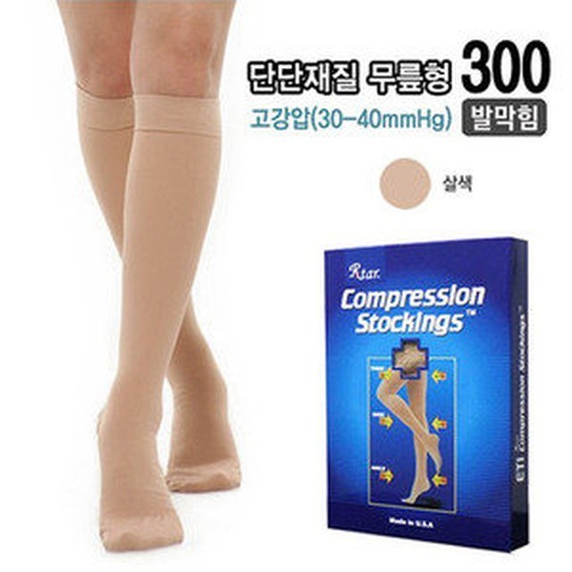 렉스타 이미지