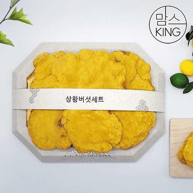 참농인 이미지