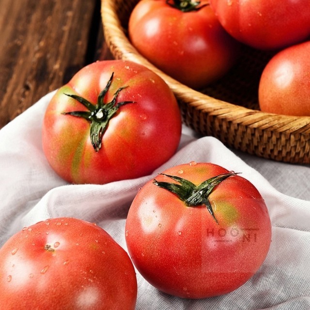 토마토 이미지