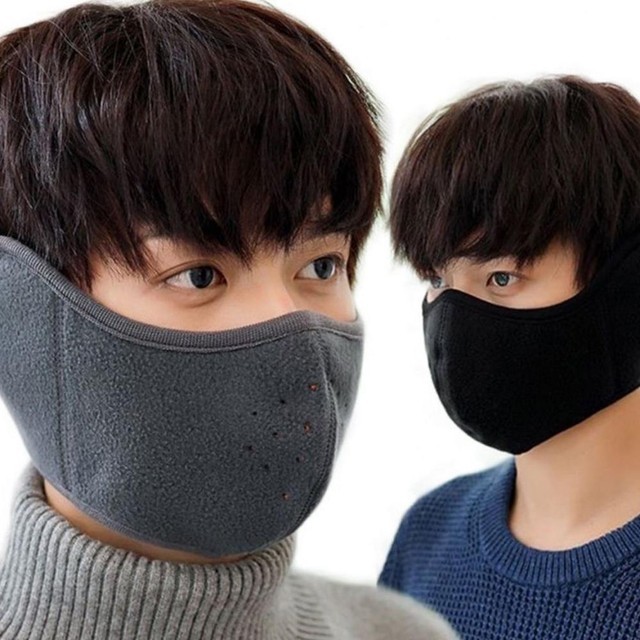코아 이미지