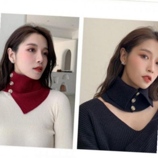 폴라 이미지