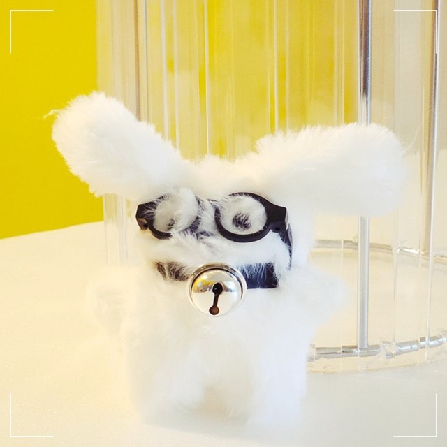 레빗 이미지