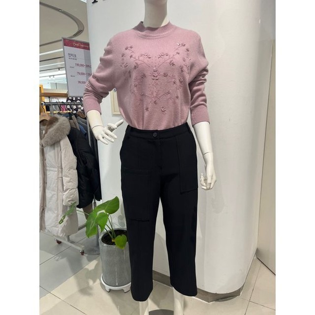 안지크 이미지