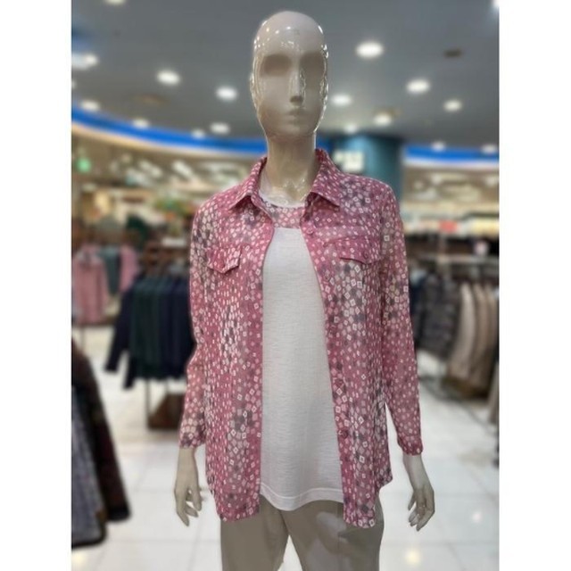 포라리 이미지