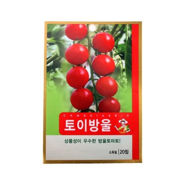 씨앗 이미지