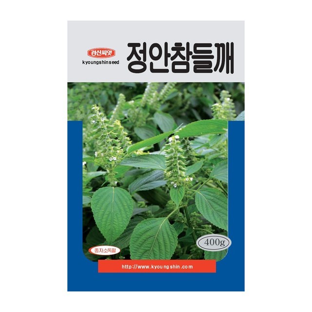 씨앗 이미지