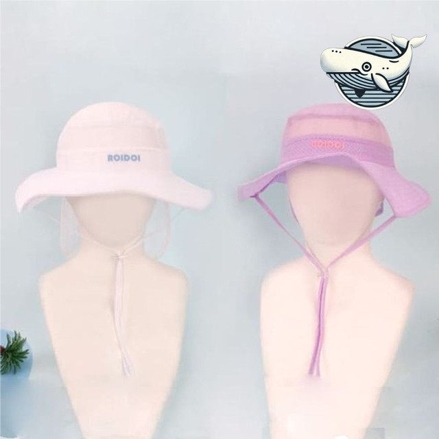 햇볕 이미지