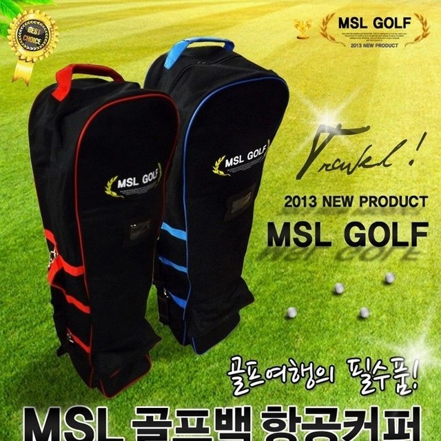 엠에스엘 이미지