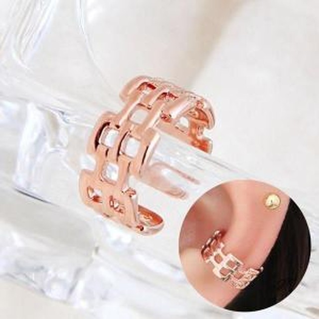 로즈 이미지