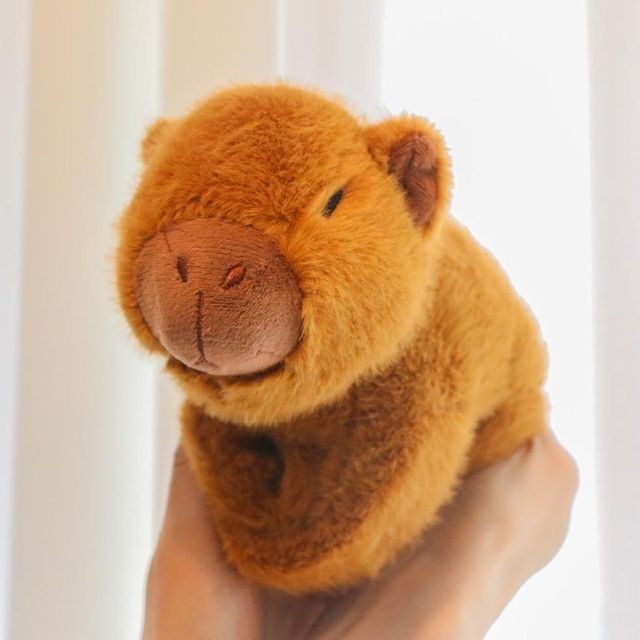 필레오 이미지