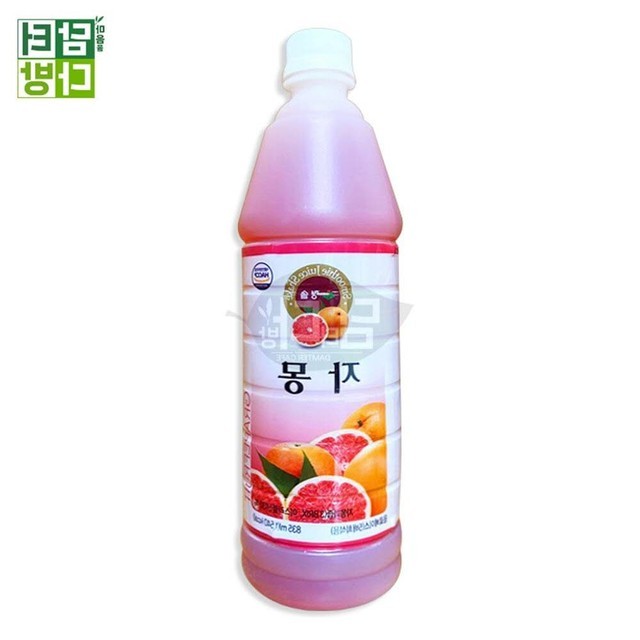 청솔 이미지