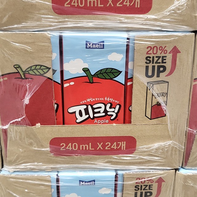 피크닉 이미지