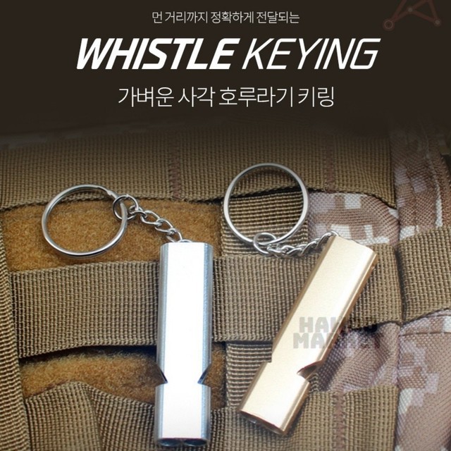 하우 이미지