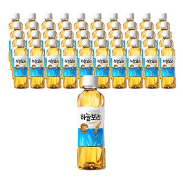 웅진 이미지