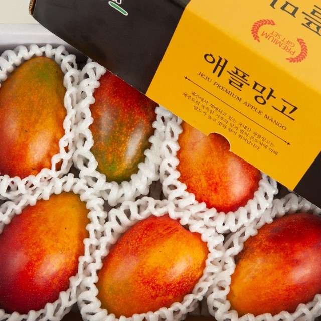 제주연가 이미지