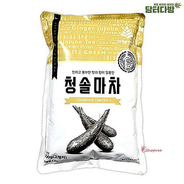 청솔 이미지