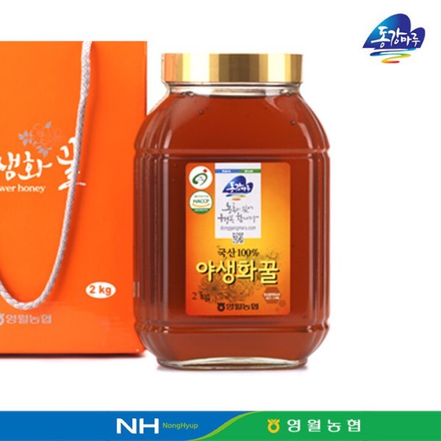 마루랑 이미지