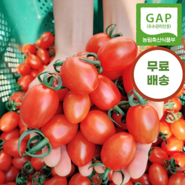 톡Tok 이미지