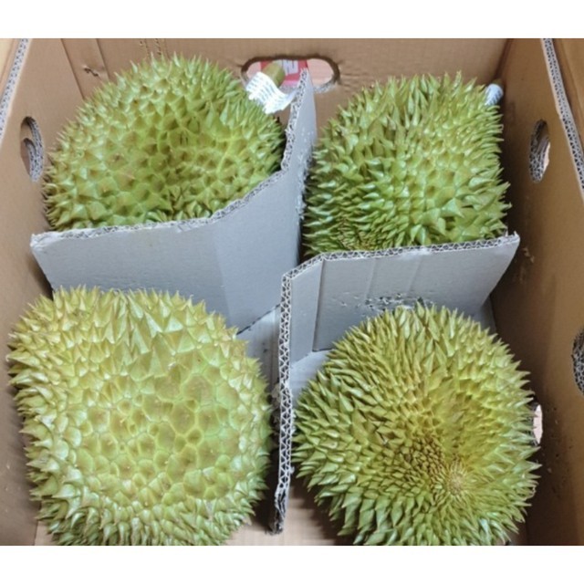 생통 이미지
