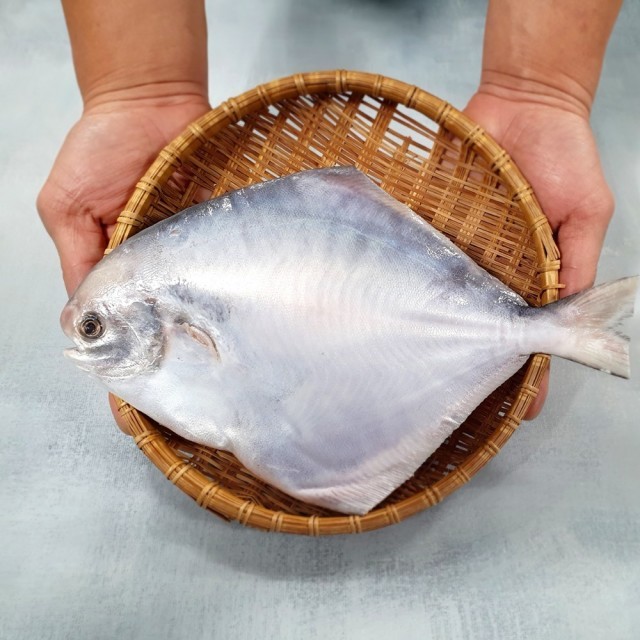 바리 이미지