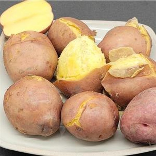 감자야 이미지