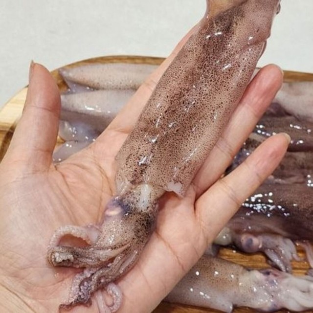 산들바다 이미지