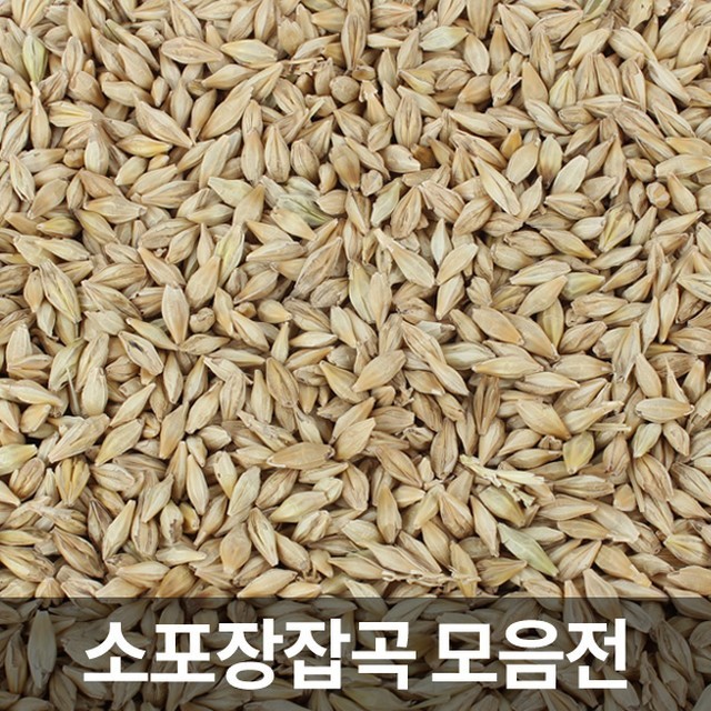 밀 이미지