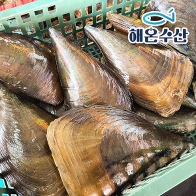 자연산 이미지