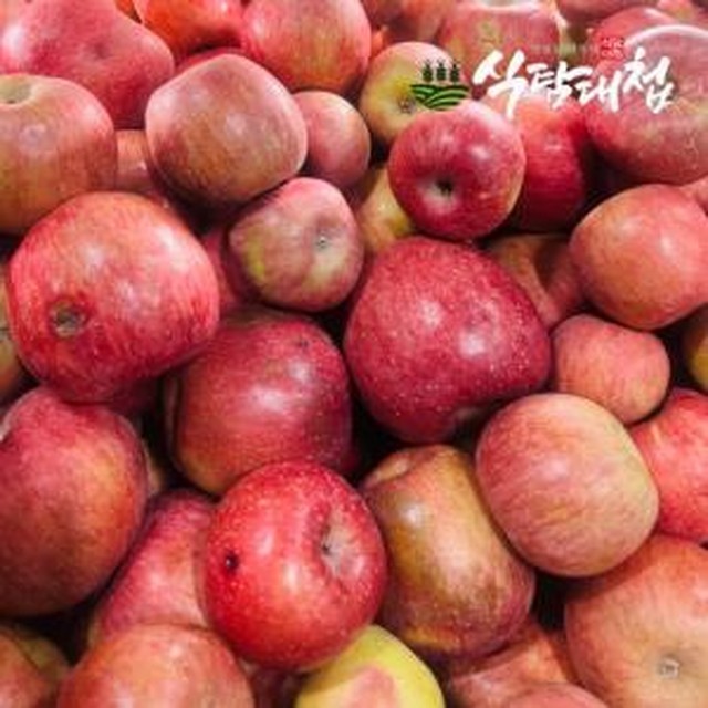 식탐 이미지