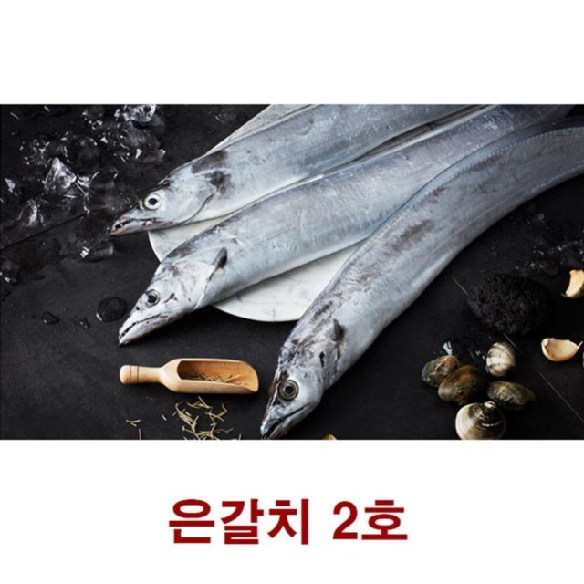 생선이랑 이미지