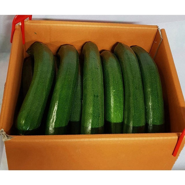 음성상회 이미지
