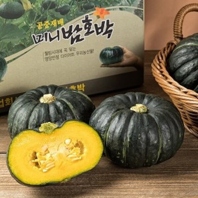 호박 이미지
