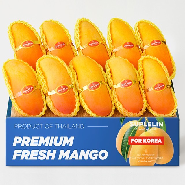 망고 이미지
