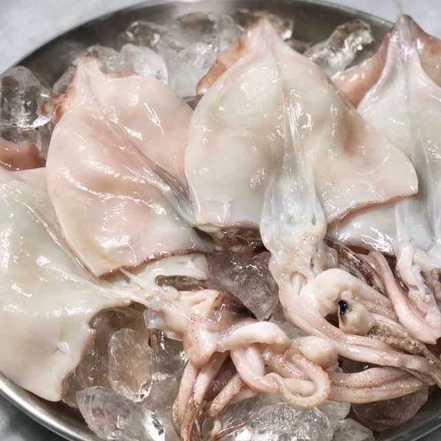 오징어야 이미지