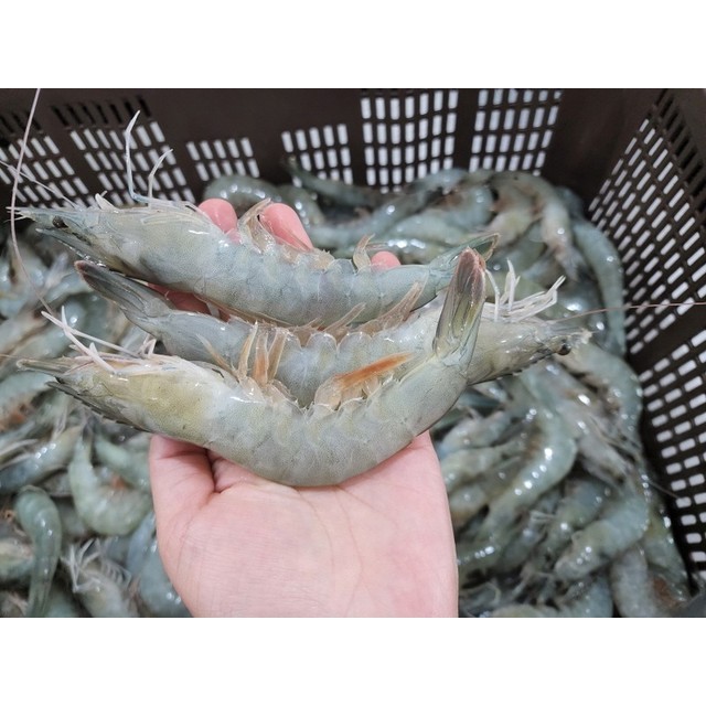 대하 이미지
