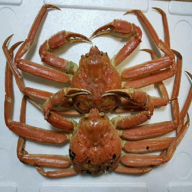 대게가 이미지