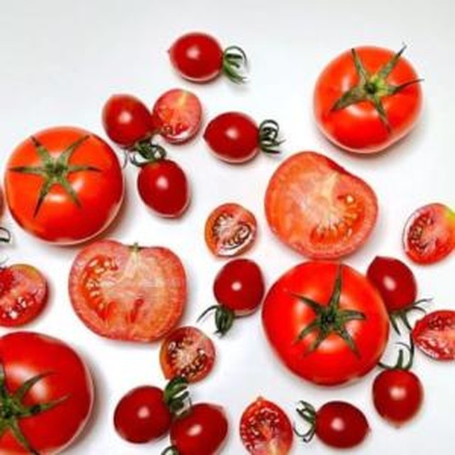 토마토 이미지