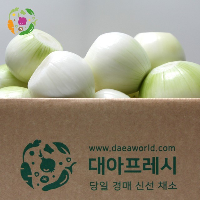 양파 이미지