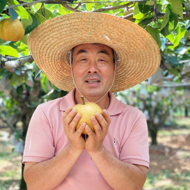 과일꾼 이미지