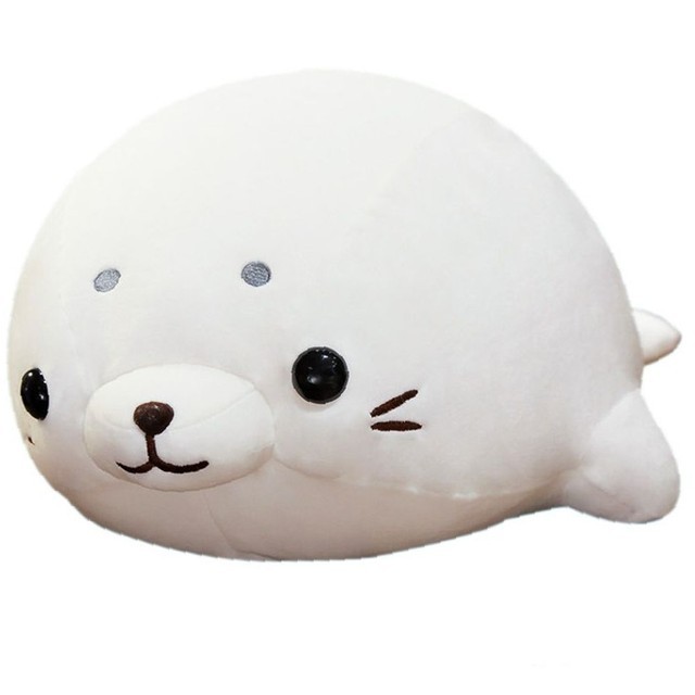 바디 이미지
