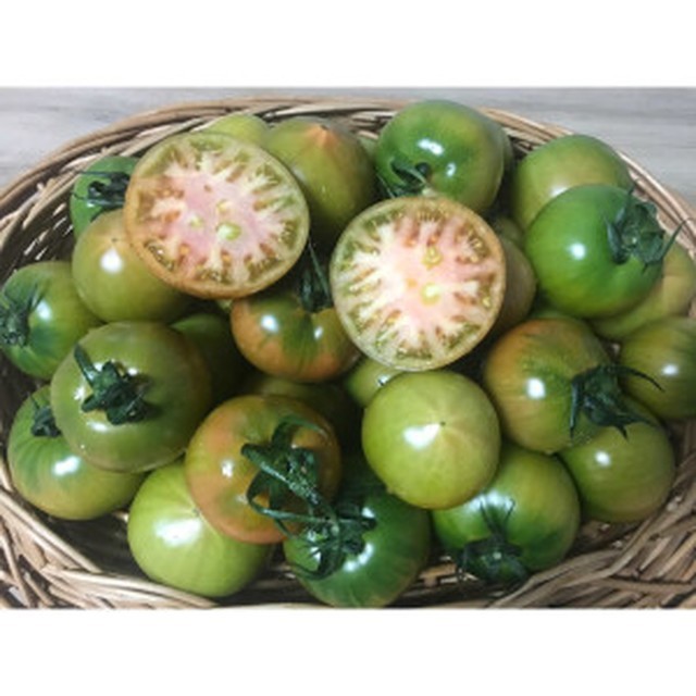 토마토 이미지