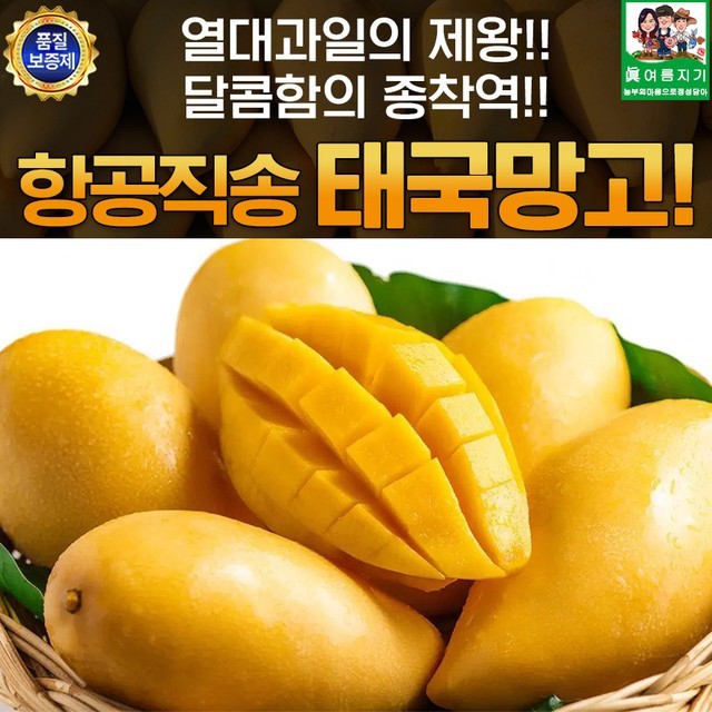망고 이미지