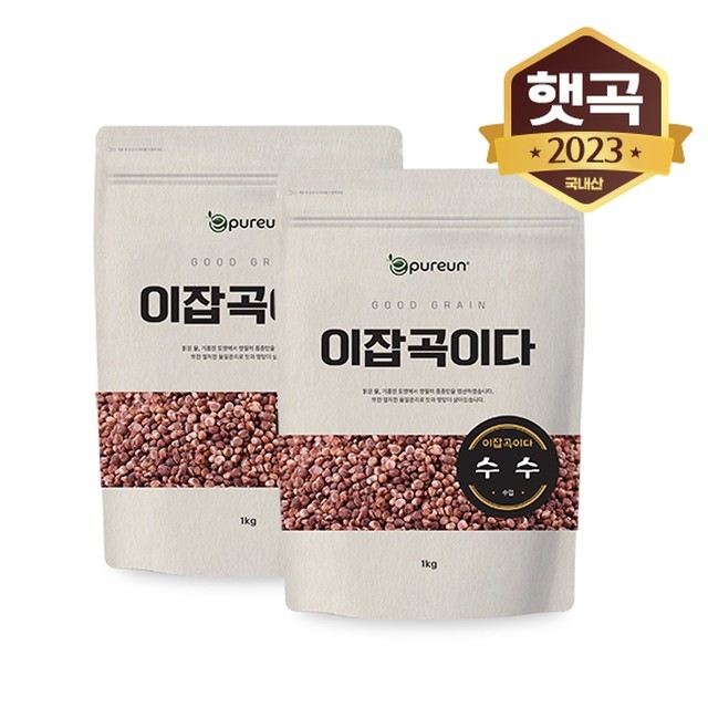 수수야 이미지