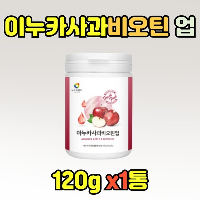 이누카 이미지